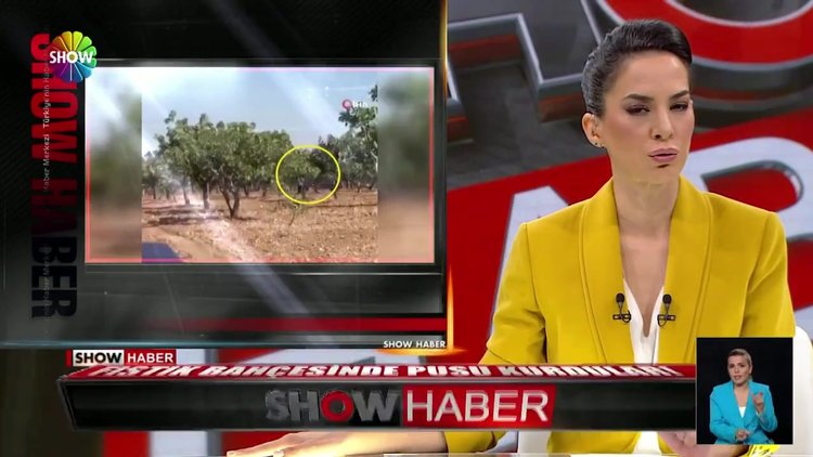 Fıstık bahçesinde pusu kurdular!