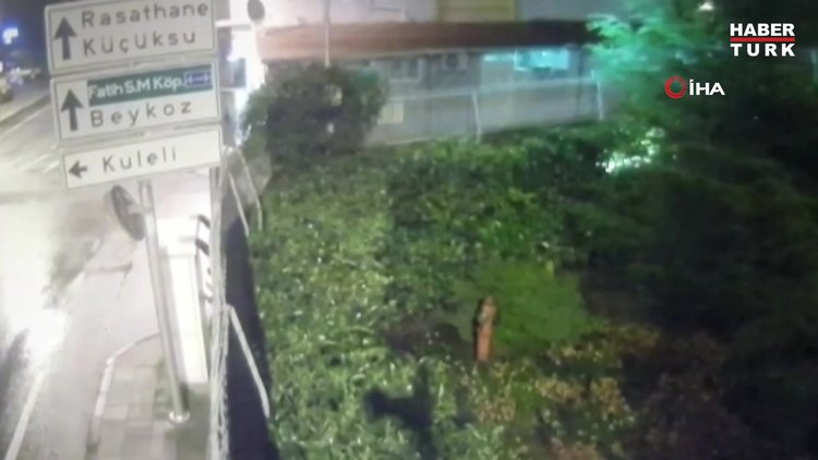 Aleyna Tilki'nin evine girmeye çalışan saplantılı hayranı hakim karşısına çıktı