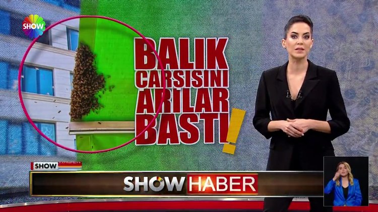 Balık çarşısını arılar bastı!