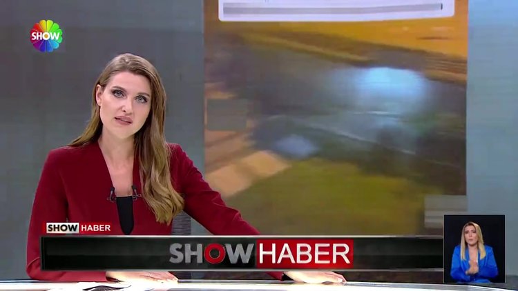 Kedilere taş attı!