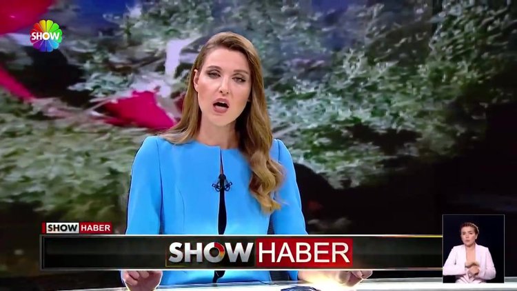 Motor arızalandı, zeytin ağacına indi!