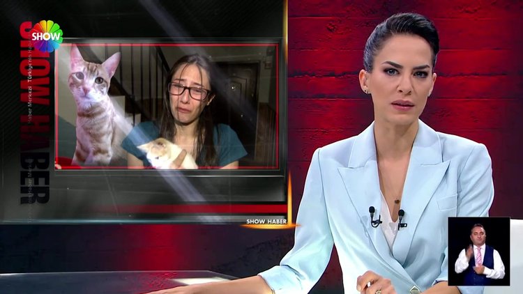 Tarçın günlerdir kayıp!