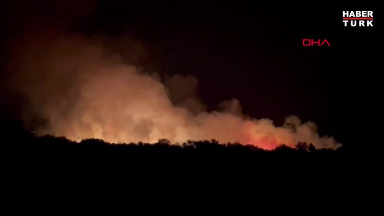 Antalya'da çay kenarındaki̇ sazlık ve ağaçlıkta yangın