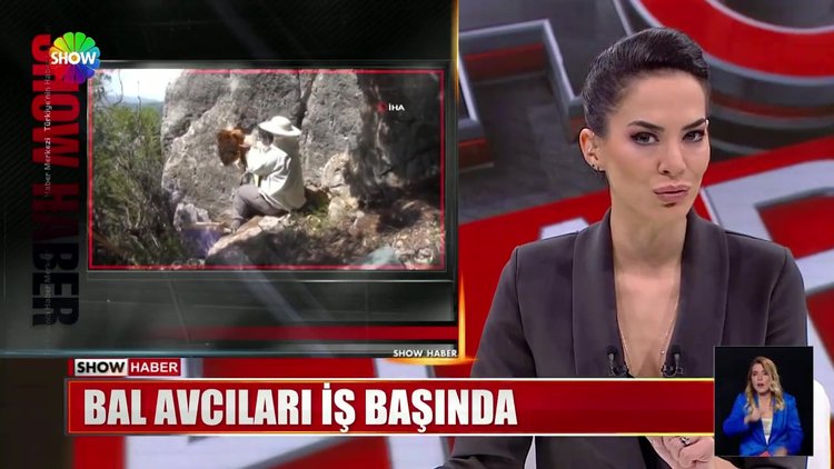 Bal avcıları iş başında