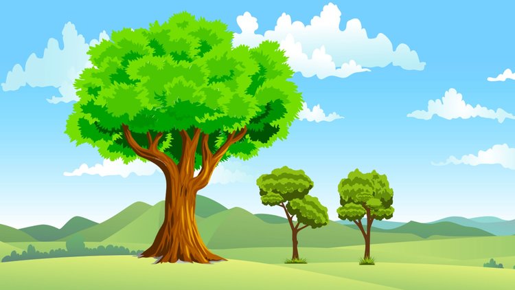 Esra Şaşmaz ile Masal Zamanı: Çınar Ağacı