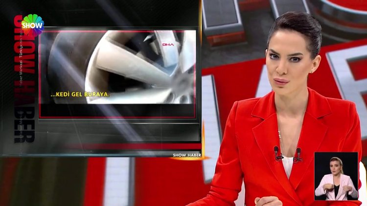 Kediyi ölümden kurtardı