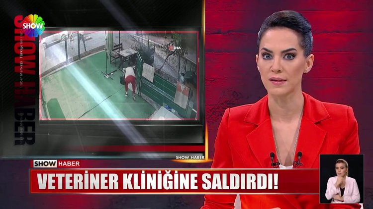 Veteriner kliniğine saldırdı!
