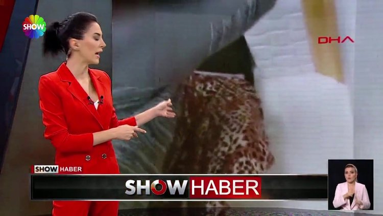 Yerde aranırken çatıda yakalandı!