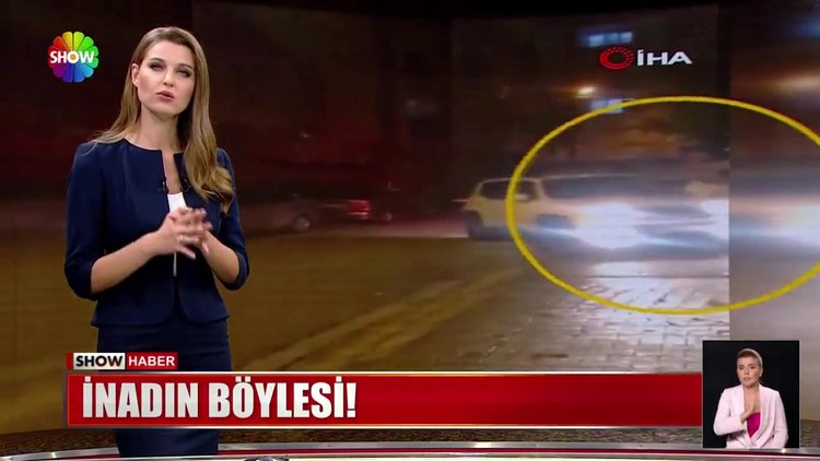 Aracın kaputuna çıkıp oturdu!