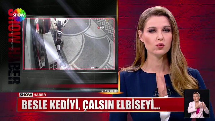 Besle kediyi, çalsın elbiseyi...