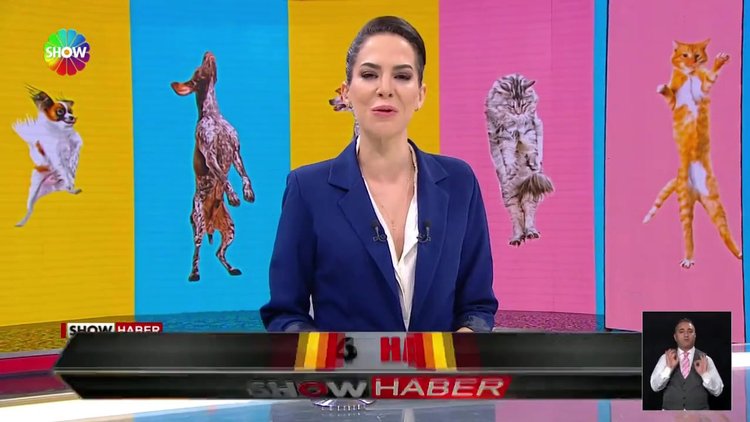 4 Ekim Hayvanları Koruma Günü