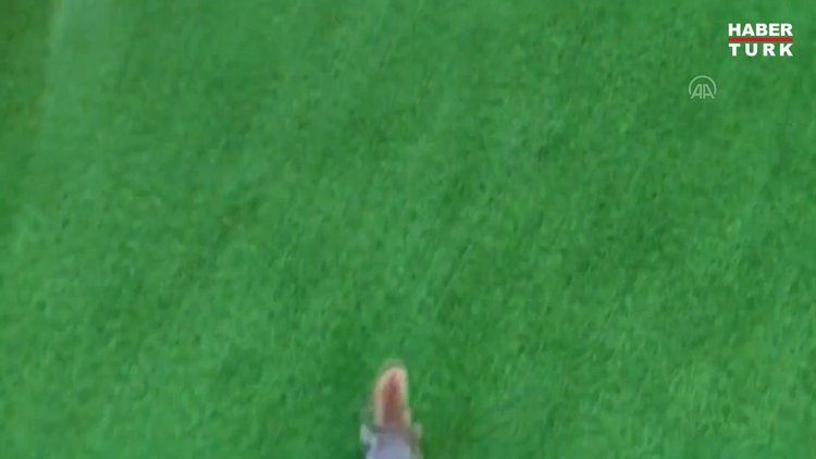 Elazığlı muhtar, sahiplendiği sincap yavrusunu enjektörle besliyor