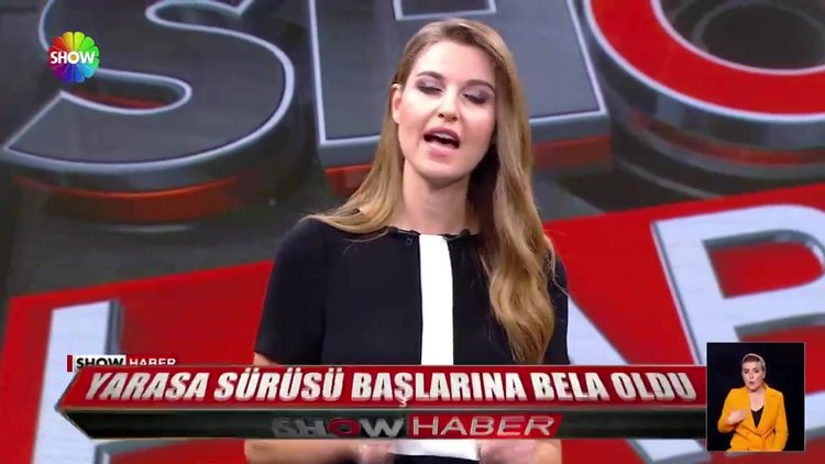 Yarasa sürüsü başlarına bela oldu