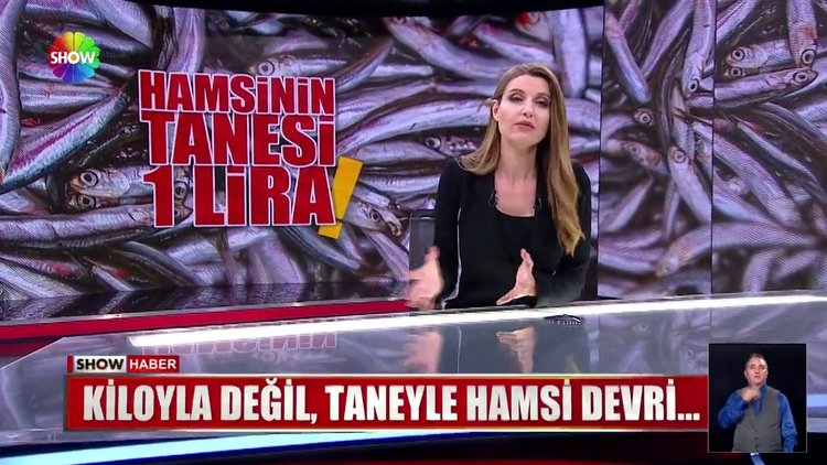 Hamsinin tanesi 1 lira!