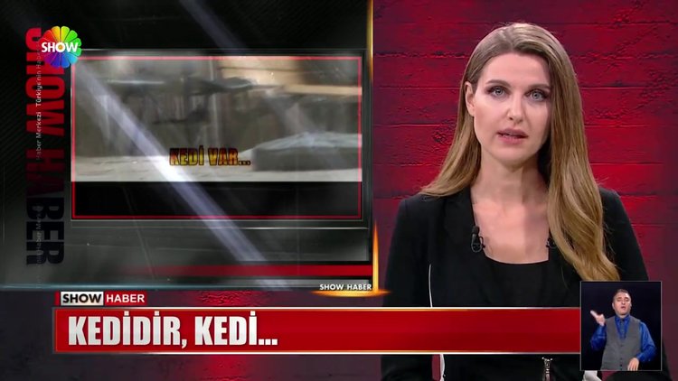 Önce şüpheli çanta sonra kedi paniği!