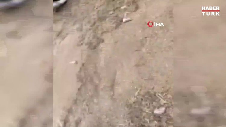 Kadın futbolunda holigan terörü: sahayı ve tribünleri taşladılar