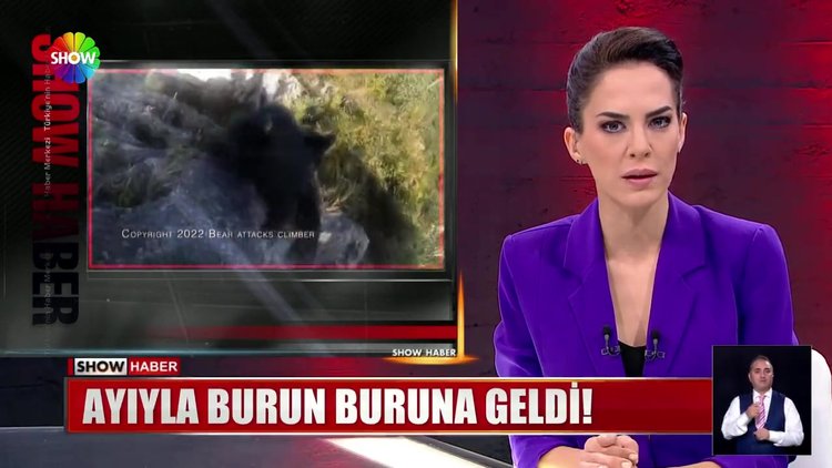 Ayıyla burun buruna geldi!
