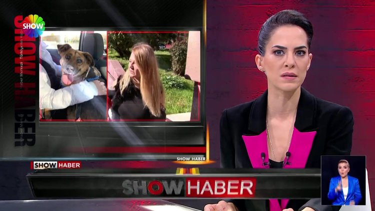 Kapı önündeki köpekleri çalındı