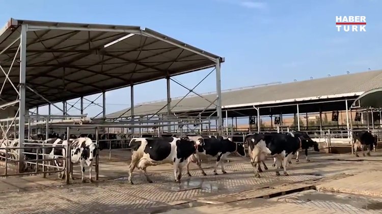 Habertürk yazarı Kemal Öztürk süt üreticileri ile bir araya geldi