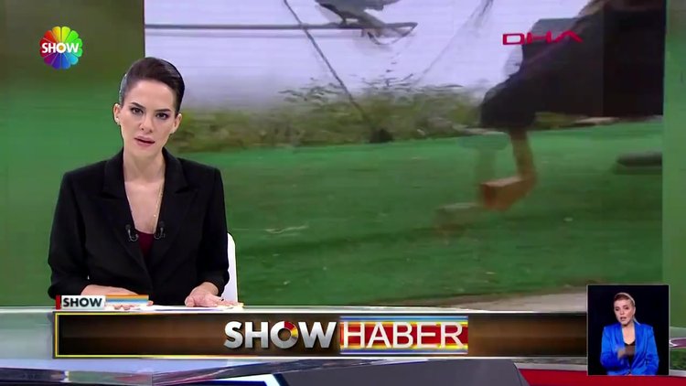 Tulum sesini duyan atmaca avlandı