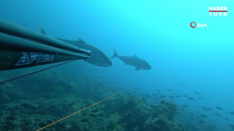 Rekortmen dalgıç, boyu kadar balık yakaladı