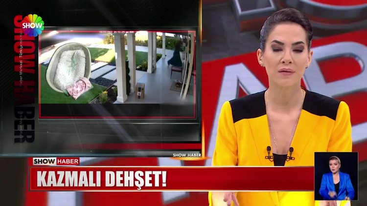 Bahçeye girip camları kırdı