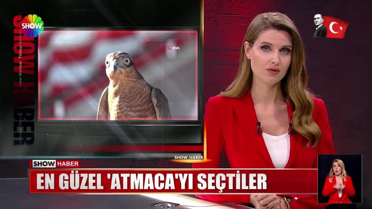 En güzel 'Atmaca'yı seçtiler