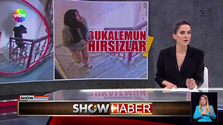 Bukalemun hırsızlar!