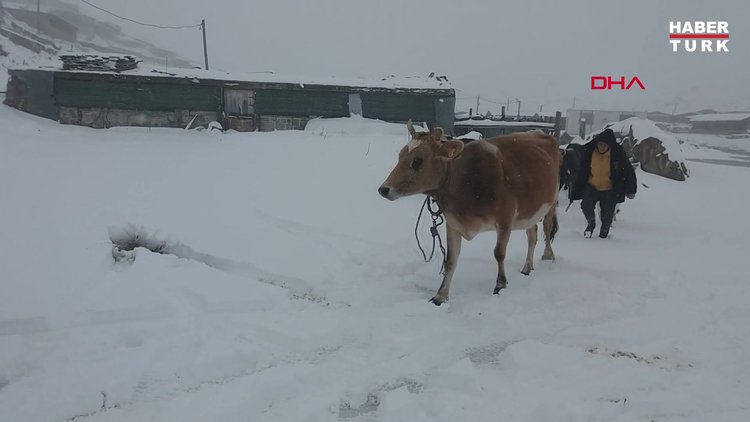 Doğu Karadeniz'de kar yağışı: Yaylacılar dönüşe geçti