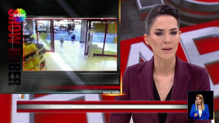 Hırsız köpekler köpek çaldı!