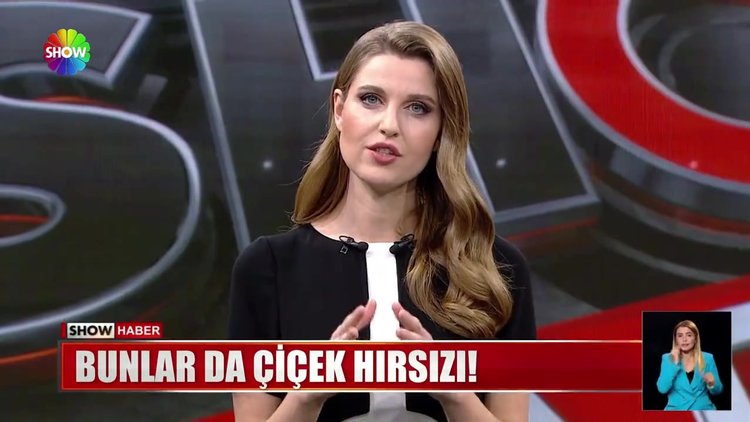 Bunlar da çiçek hırsızı!