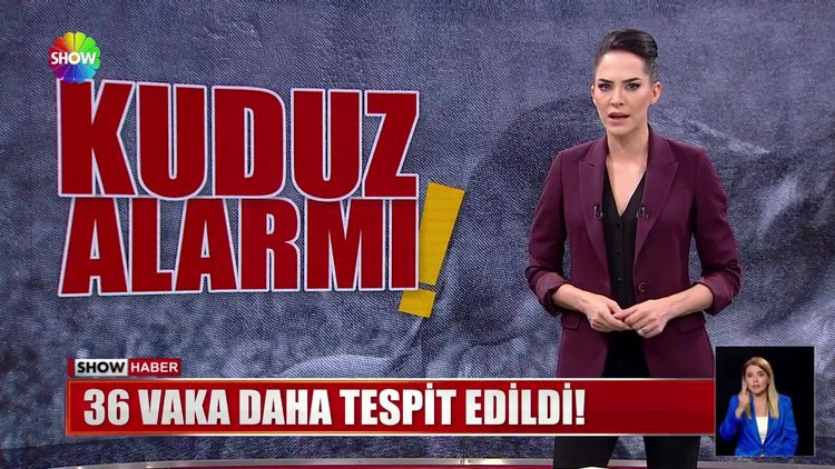 Kuduz alarmı!
