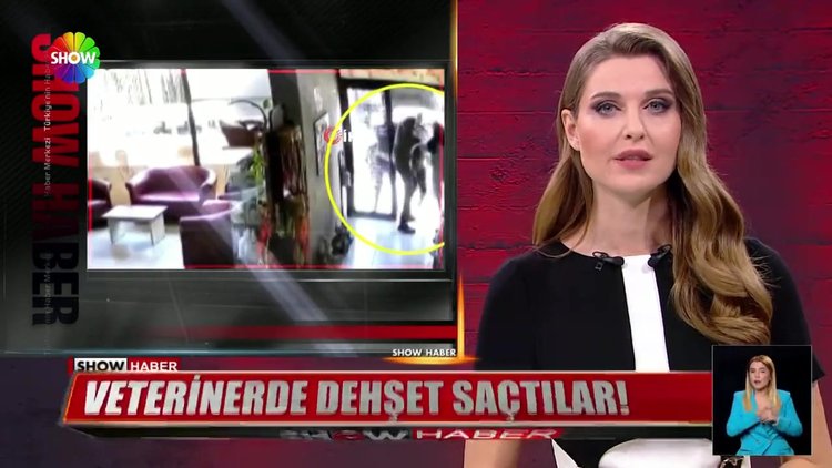 Veterinerde dehşet saçtılar!