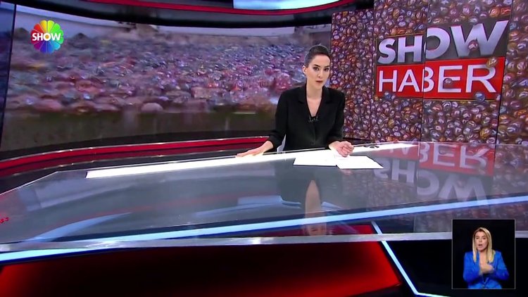 Zeytinde hasat zamanı