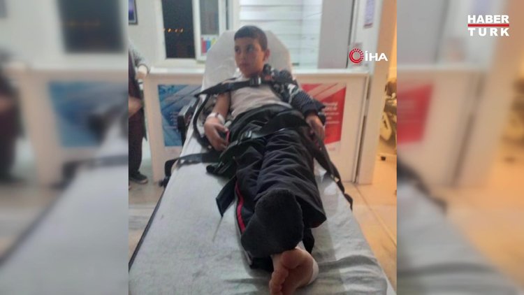 Kuduz teşhisi konulan çocuk hayatını kaybetti