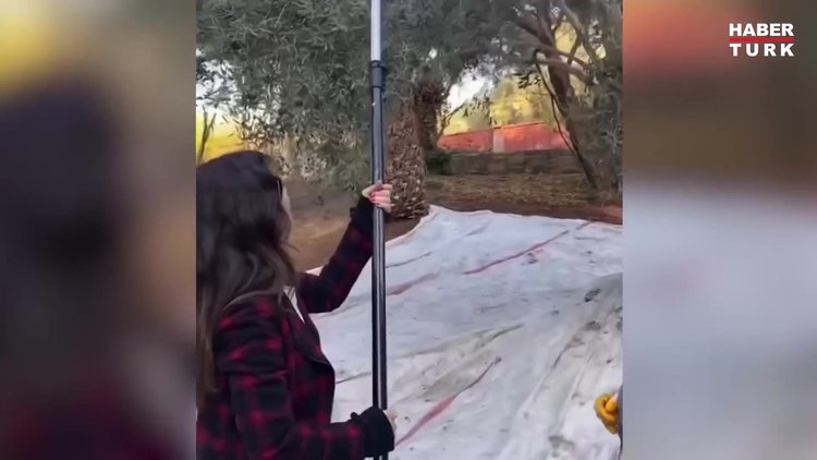 Gökçe Bahadır ile Emir Ersoy, zeytin hasadına katıldı