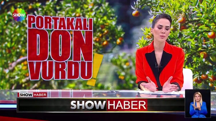Portakalı don vurdu!