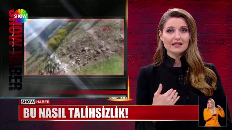 İpe takıldı, kendini havada buldu!