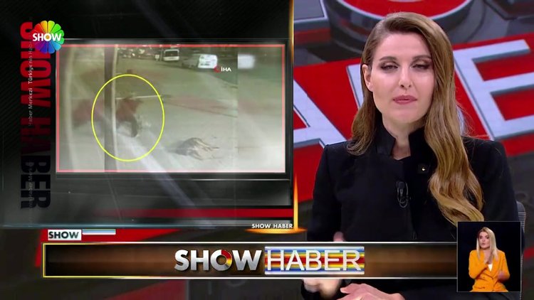 Balkondan düşen köpeği havada yakaladı