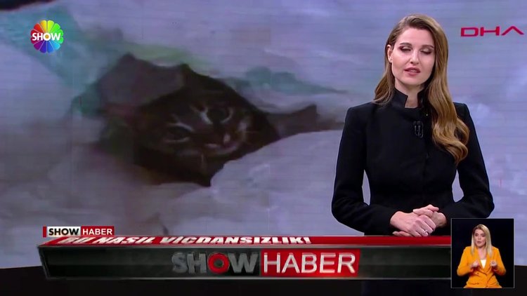 Ağzı bağlı çuvallardan kedi çıktı