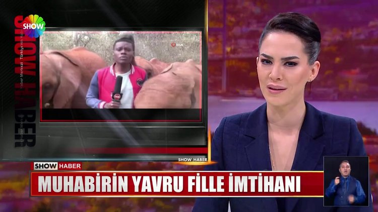 Muhabirin yavru fille imtihanı