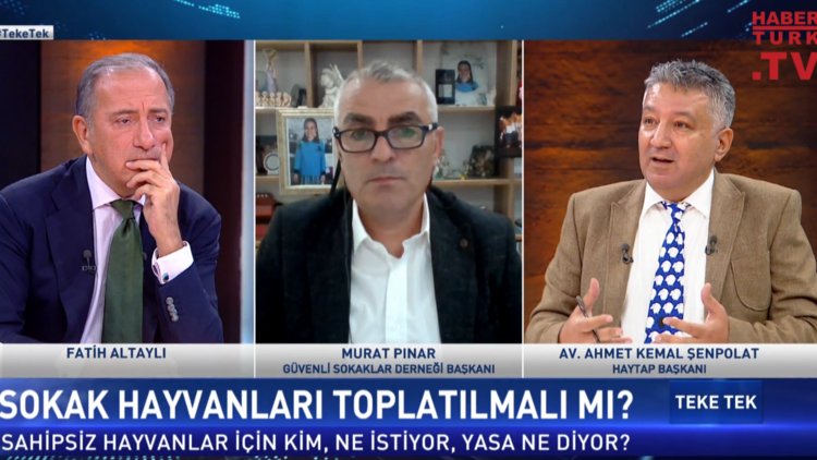 Teke Tek - 15 Kasım 2022 (Sokak hayvanları toplatılmalı mı?)