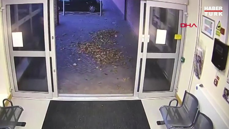 Sahibini kaybeden akıllı köpek polise başvurdu