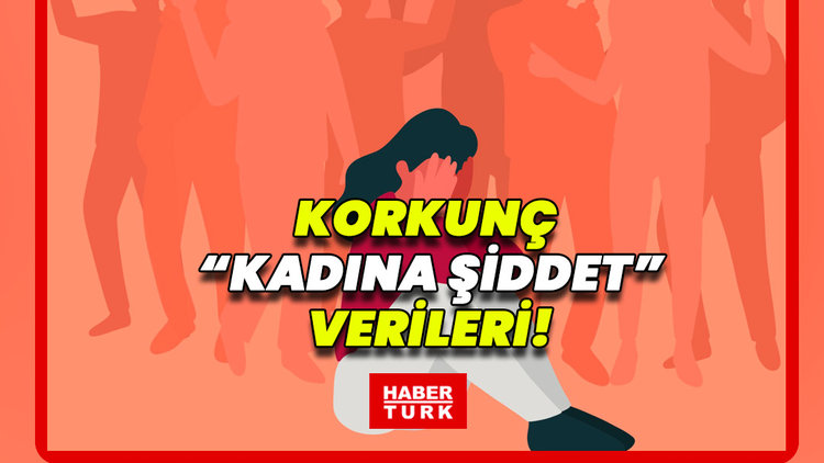 25 Kasım Kadına Yönelik Şiddete Karşı Uluslararası Mücadele Günü'nde öne çıkan veriler