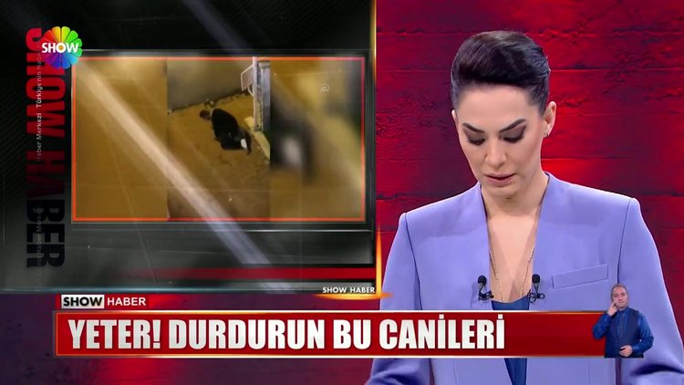 Yeter! Durdurun bu canileri