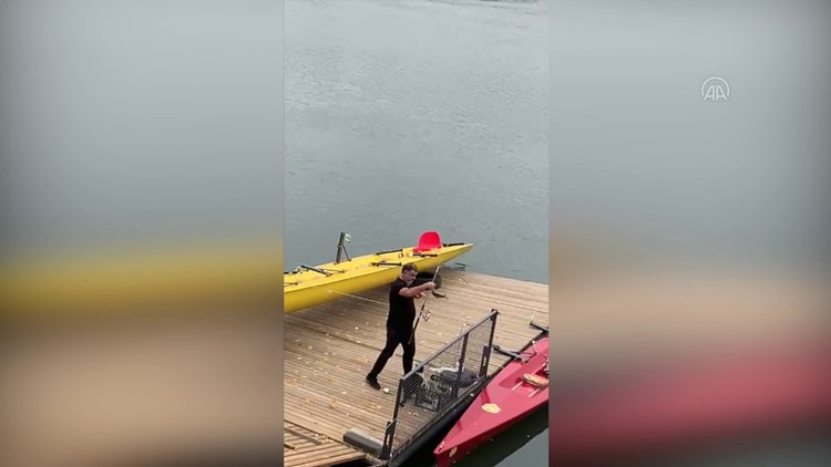 Meriçte azimli kedi oltadaki balığı kaptı