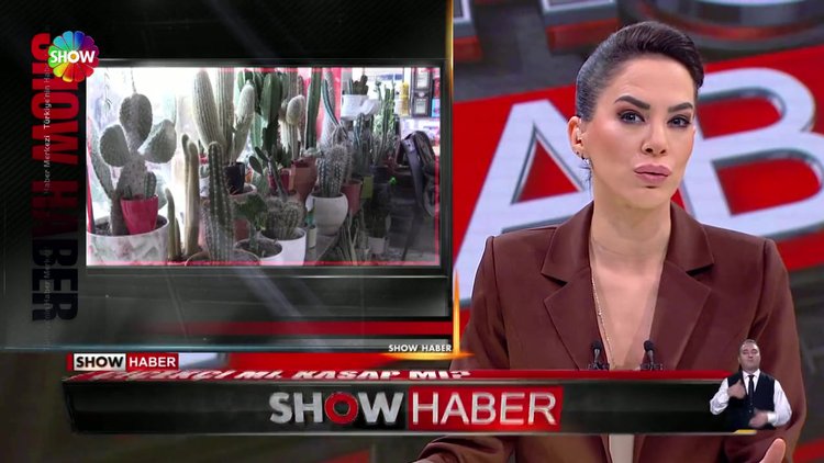 Çiçekçi mi, kasap mı?