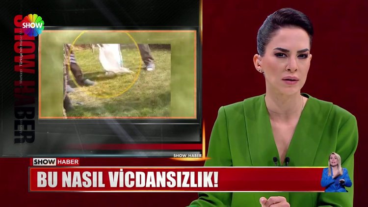 Bu nasıl vicdansızlık!