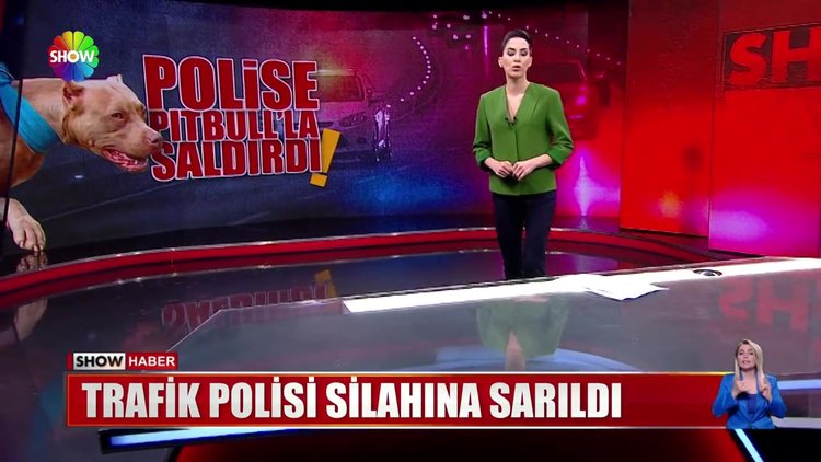 Trafik polisi silahına sarıldı