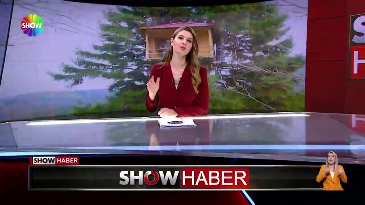 Çam ağacının tepesine ev yaptı!